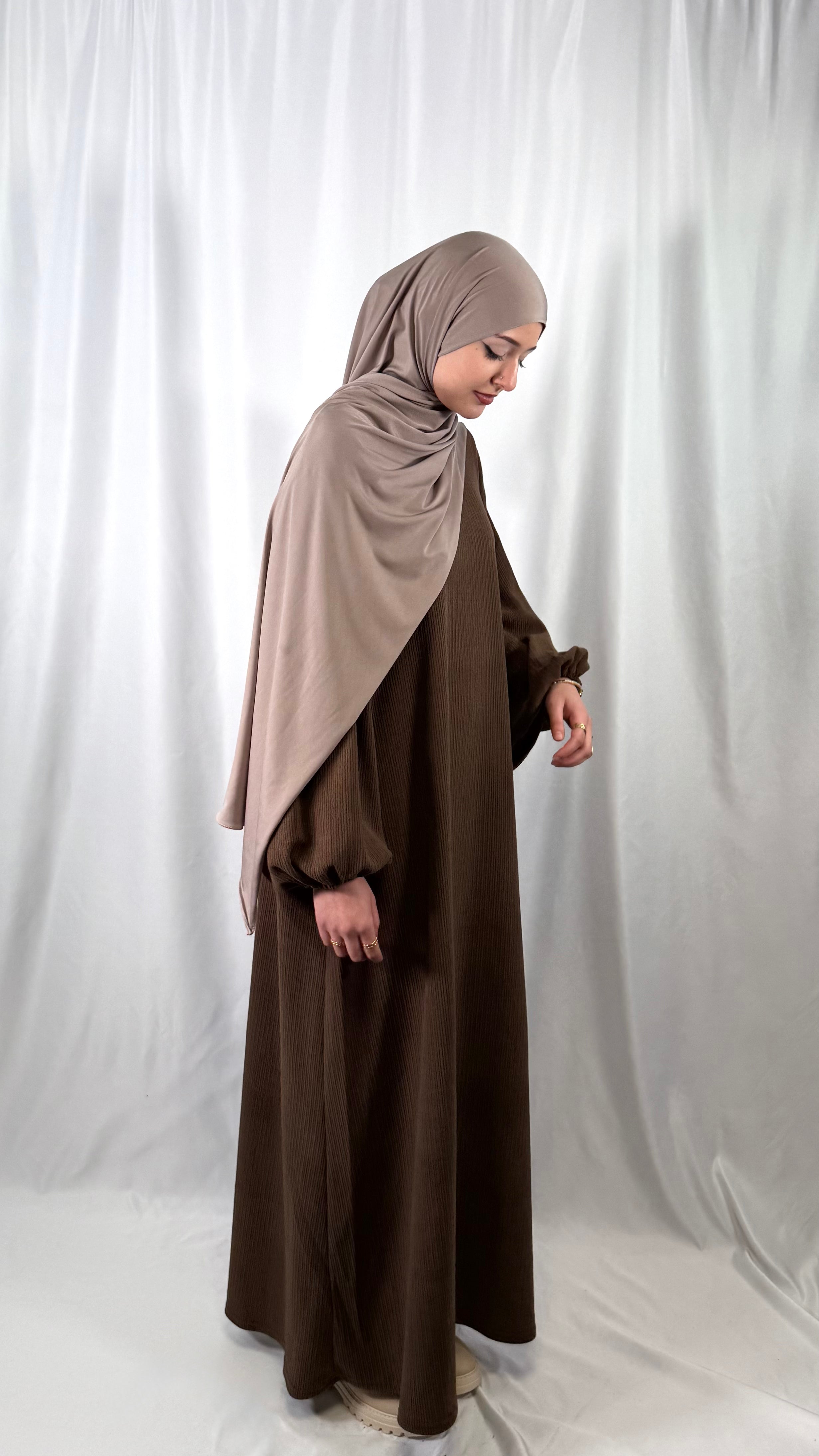 Balloon Sleeve Dress